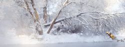 Крещенская вода: вера и суеверия