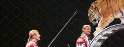 Почему люди любят театр и цирк?