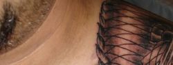 Качественная татуировка в тату салоне Tattoo-House