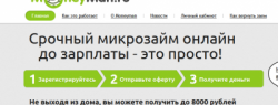 Стратегия и развитие стартап-проекта Moneyman.ru