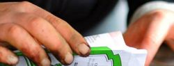 Как купить семена, чтобы урожай радовал