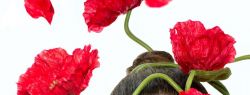 5 новогодних бьюти-обещаний для сохранения своего здоровья и красоты