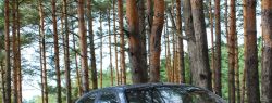 Выбираем недорогой автомобиль с АКПП
