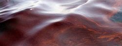 Предполагаемый виновник столкновения в водах США 18 раз нарушал правила судоходства