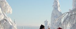 Лыжные каникулы в Финляндии – отдых, который покорит любого
