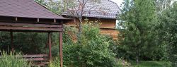 Как обустроить дачный участок?