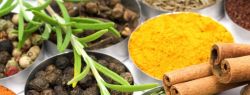 Сочетание специй и пряностей с продуктами