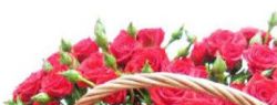 Оригинальные цветочные корзины от интернет магазина 24hflowers.net