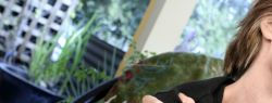 Причины возникновения болей в суставах и их лечение