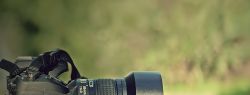 Фотоаппарат для начинающего фотографа