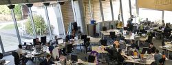 Страшная правда об Open Space!