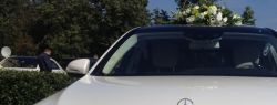 Аренда автомобиля на свадьбу