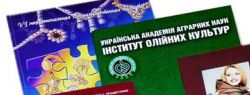 Отличительные особенности создания информационных буклетов и каталогов