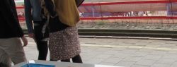 Как сортируют мусор в Германии?