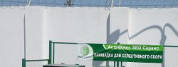 «Эко-патруль» собрал 53 тонны мусора с территории городского пляжа Астрахани
