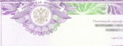 Где в Москве можно сдать документы на сертификат по русскому языку