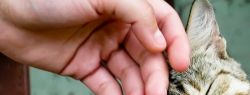 Названы 6 простых вопросов, на которые наука не может дать ответ