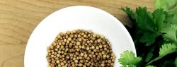 Кинза для пьяниц