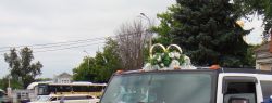 Прокат лимузина на свадьбу – ваш кортеж в классе VIP