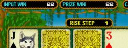 Новый игровой портал Crazy Monkey