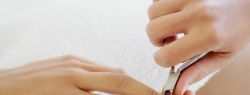 Гигиена орудий красоты: чего не боится микроб и чего следует бояться нам