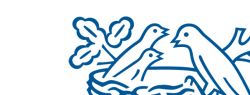 Итоги Санкт-Петербургского экономического форума: Nestlé продолжит инвестировать в Россию