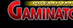 Открытие нового игрового портала Gaminator