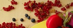 Как выбрать качественный торт