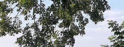 Многоликая Кашира: драконы, стрельцы и неподдельная открытость