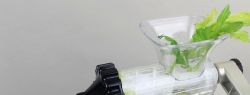 Как выбрать шнековую соковыжималку? Рекомендации от специалистов Juice Makers
