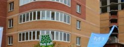 В рамках акции «Наш лес. Посади своё дерево» высадку деревьев в Подмосковье провела «М1 Девелопмент»