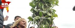Размах субботника Лужкова СМИ решили многократно занизить