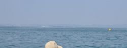 Большинство людей выбирают отдых в одиночестве