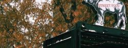 Предприниматели из Новосибирска открыли закусочную в контейнере Cowtainer