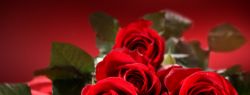 Самые лучшие цветы для дорогих вам людей