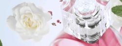 Элегантные и тонкие ароматы Givenchy