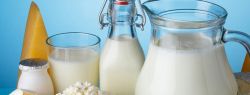 Молочные продукты сегодня