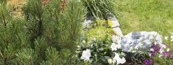 Комплекты садового оборудования для домашнего садоводства GARDENA
