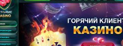 Какими преимуществами порадуют игровые автоматы, знакомящие с жизнью насекомых