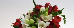 Особенности и преимущества цветочных композиций