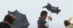 Если вам нужны сведения о погоде