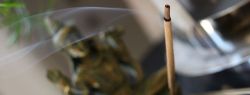 Где купить специфические индийские товары?