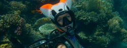 Ольга Белкина приглашает на персональную выставку подводной живописи
