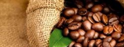 Компания «NiceCoffee» – купить кофе просто или просто купить кофе