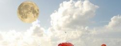 Что нужно человеку для достижения успеха?