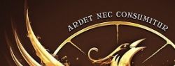 Фирменный стиль бренда Grimbergen был обновлен
