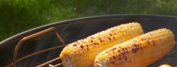 Секреты популярности керамических грилей Big Green Egg
