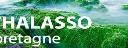THALASSO BRETAGNE разработала серию комплексных программ для здоровья и красоты ног