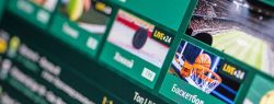 Лучшие букмекерские конторы России — почему они успешны