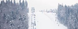 Отдых в Карпатах: здоровье и свежесть
